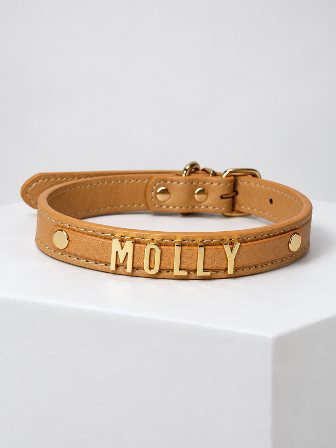 Coleira Personalizada – Golden Edition | Biscuit