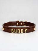Coleira Personalizada – Golden Edition | Cocoa