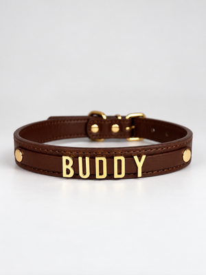 Coleira Personalizada – Golden Edition | Cocoa