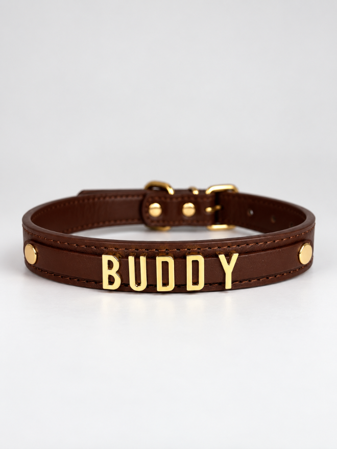 Coleira Personalizada – Golden Edition | Cocoa