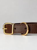 Coleira Personalizada – Golden Edition | Cocoa