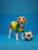 Camiseta Brasil - Amarela