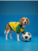 Camiseta Brasil - Amarela