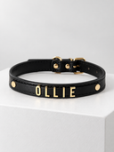 Coleira Personalizada – Golden Edition | Onyx