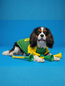 Camiseta Brasil - Verde