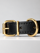 Coleira Personalizada – Golden Edition | Onyx