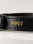 Coleira Personalizada – Golden Edition | Onyx