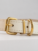 Coleira Personalizada – Golden Edition | Ivory