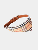 Coleira Bandana Royale