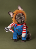 Fantasia Pet do Chucky