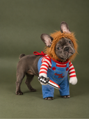 Fantasia Pet do Chucky