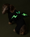 Fantasia Pet Halloween Pipet – Morcego