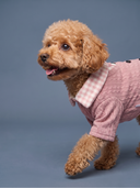 Camisa Tricot Xadrez - Rosa