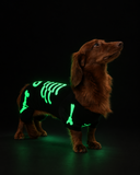 Fantasia Pet Halloween Pipet – Esqueleto