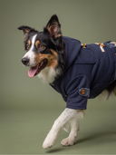 Jaqueta Inverno - Azul Navy
