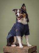 Jaqueta Inverno - Azul Navy