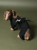 Fantasia Pet Halloween Pipet – Morcego