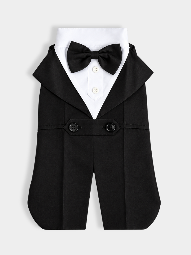 Smoking pet Pipet preto com camisa branca e gravata borboleta