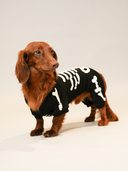 Fantasia Pet Halloween Pipet – Esqueleto