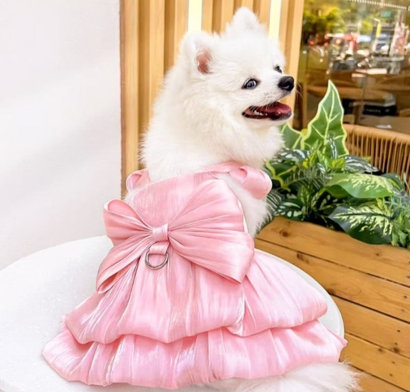 Spitz branco usando Vestido Cetim Rosa Pipet com laço nas costas