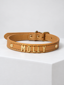 Coleira Personalizada – Golden Edition | Biscuit