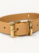 Coleira Personalizada – Golden Edition | Biscuit