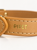 Coleira Personalizada – Golden Edition | Biscuit